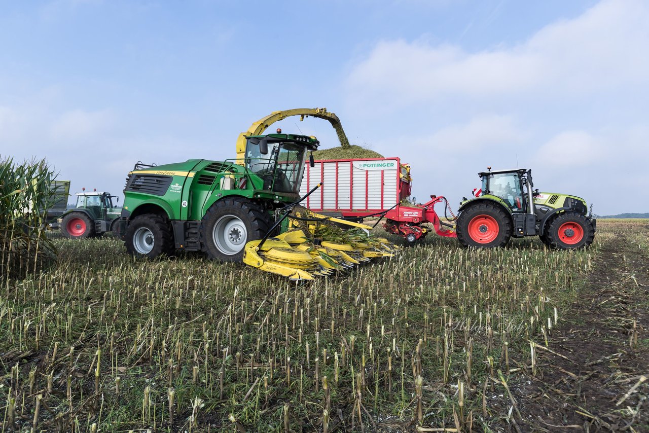 Bild 148 - Maisernte